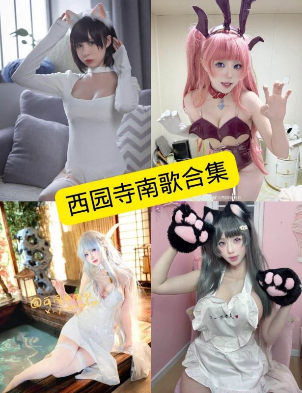肉丝美腿福利 西园寺南歌 写真资源合集下载[持续更新] - 语可次元 - 二次元美图写真海量免费4K壁纸资源分享