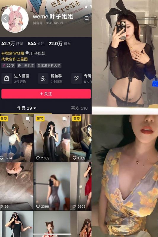 叶子姐姐 微密圈 写真资源合集下载[持续更新] - 语可次元 - 二次元美图写真海量免费4K壁纸资源分享