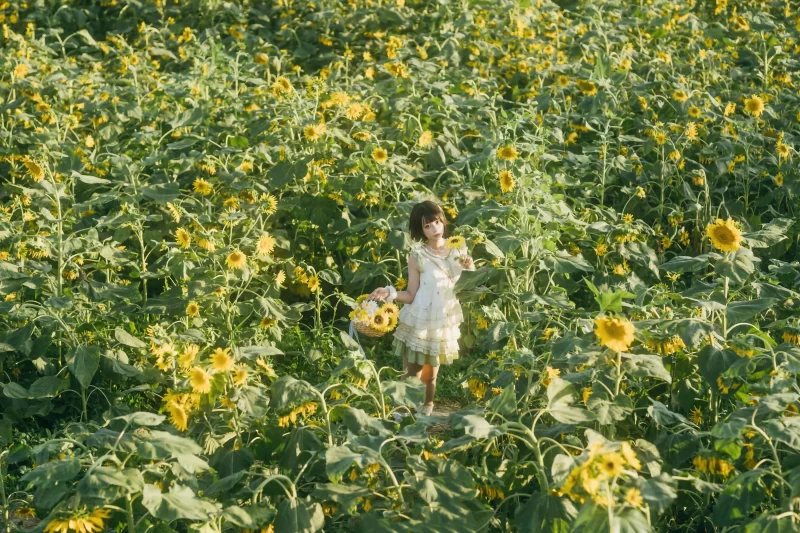 向日葵之约-提篮少女的浪漫 - 语可次元 - 二次元美图写真海量资源分享