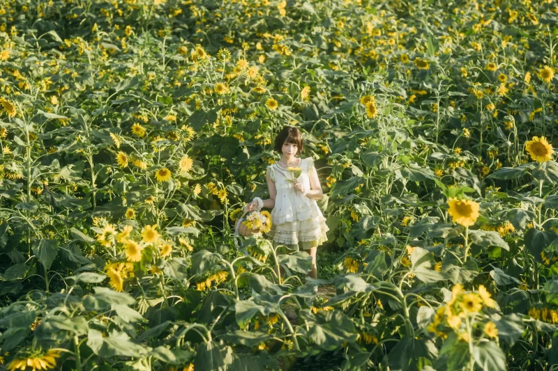 向日葵之约-提篮少女的浪漫 - 语可次元 - 二次元美图写真海量资源分享