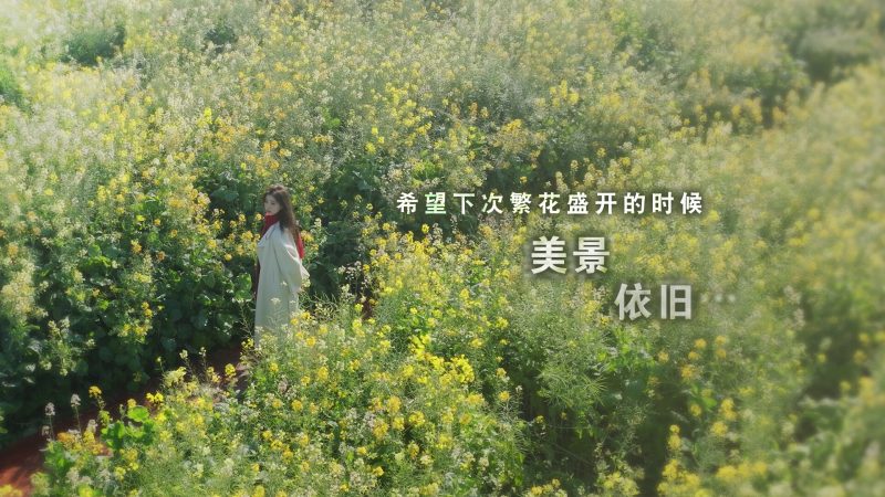 这个是真的喜欢！/I've Fallen For You!|官方简体中文|支持键盘.鼠标.手柄 - 语可次元 - 二次元美图写真海量资源分享